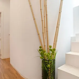 Appartement Genteel Santa Teresa, Sevilla